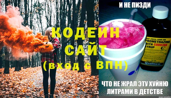 дурь Осташков