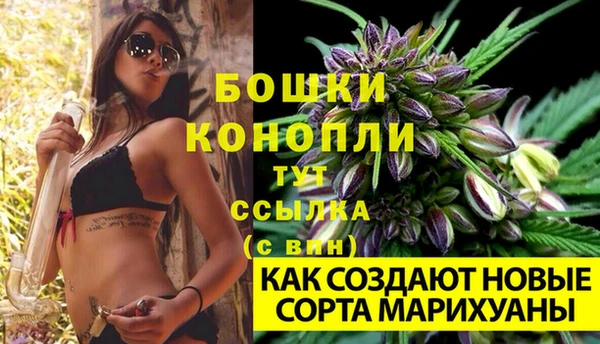 дурь Осташков