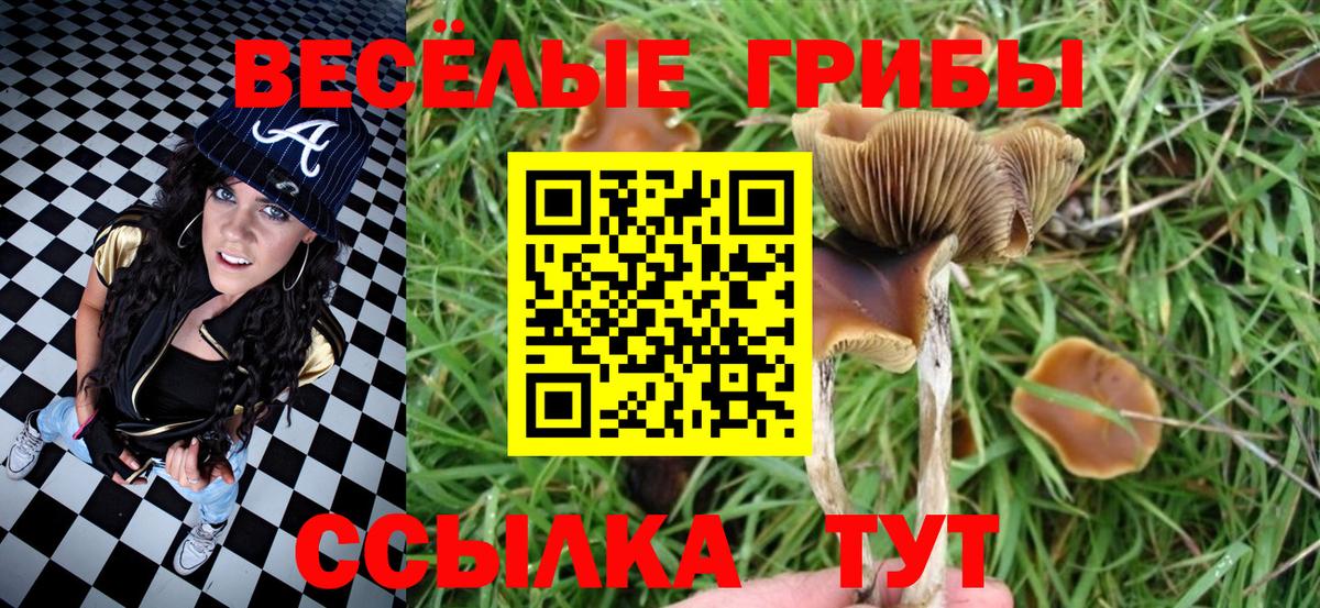 Бахчисарай  Псилоцибиновые грибы мухоморы  Вход с VPN 