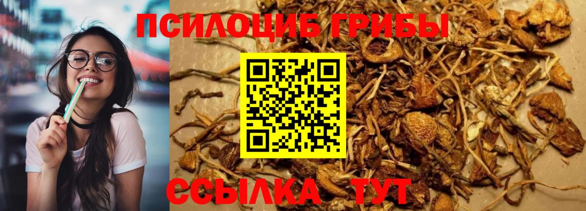 Псилоцибиновые грибы прущие грибы Бахчисарай