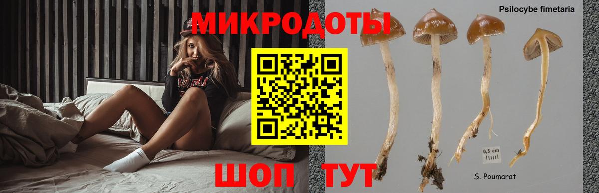 Галлюциногенные грибы ЛСД  наркотики  Галлюциногенные грибы прущие грибы  Бахчисарай 