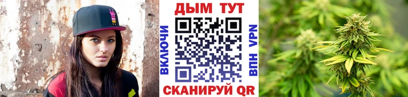 Конопля OG Kush  Бахчисарай 